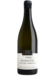 Domaine Morey-Coffinet Bourgogne Côte d'Or 2024