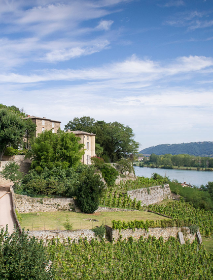 Château-Grillet : le blanc mythique du Rhône