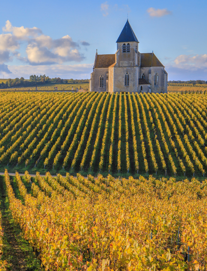 Rouget, Gouges, Ponsot, Thiriet : superbes et rares blancs de la Côte de Nuits !