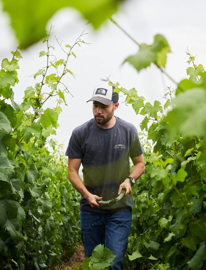 Champagne Girard-Bonnet : une nouvelle étoile brille sur les plus beaux terroirs de la Côte des Blancs