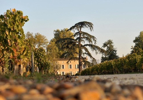 Belle dégustation de grands blancs en marge de Vinexpo