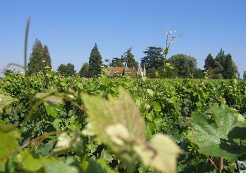 Le Vouvray est un grand vin!