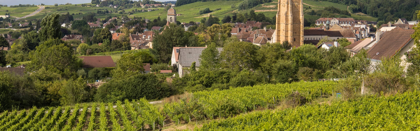 Vente privée : vin
