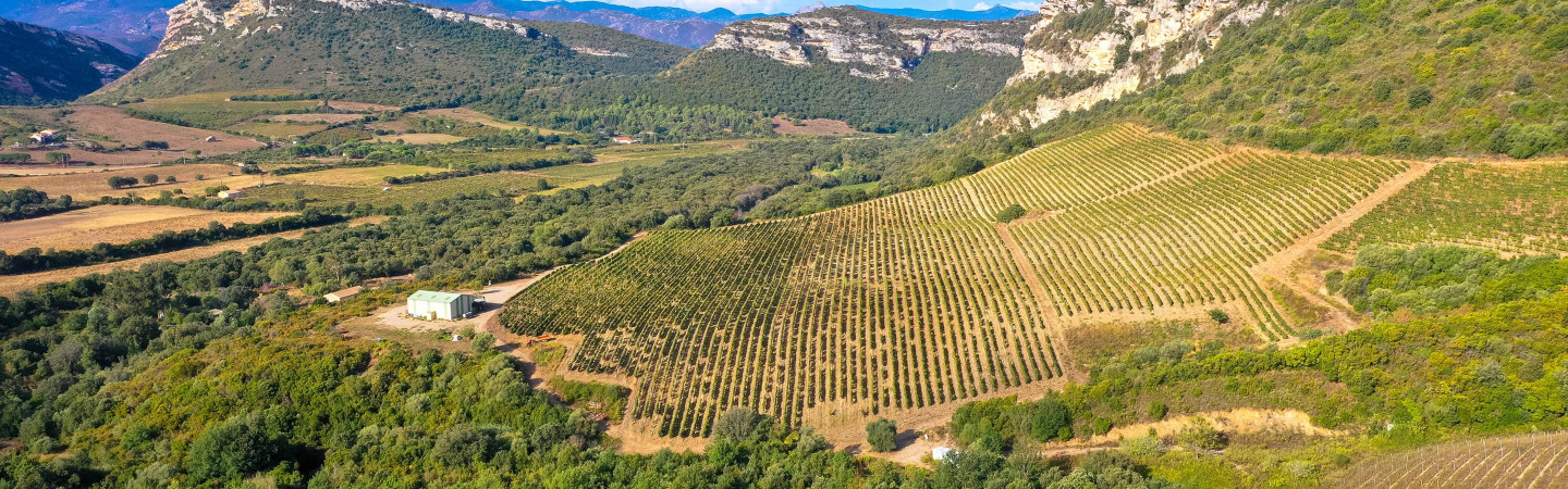 Vente privée : vin