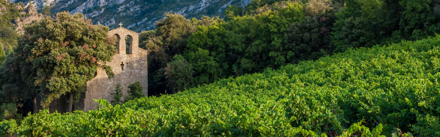 Vente privée : vin