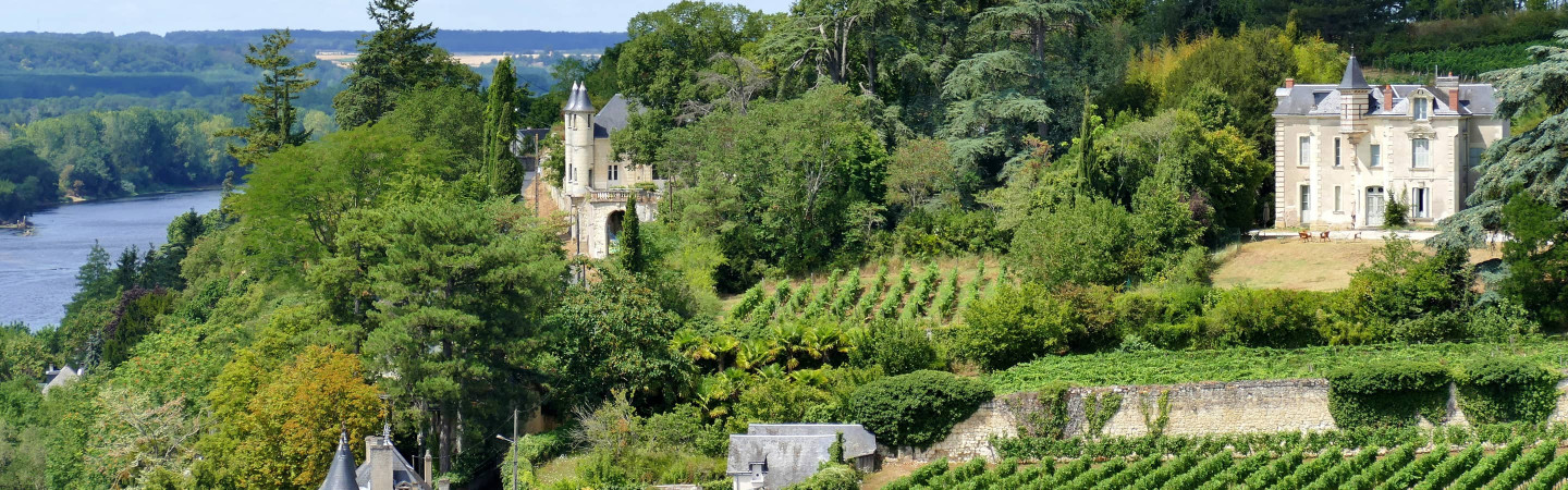 Vente privée : vin