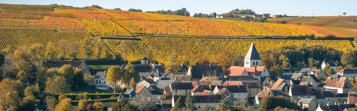 Vente privée : vin