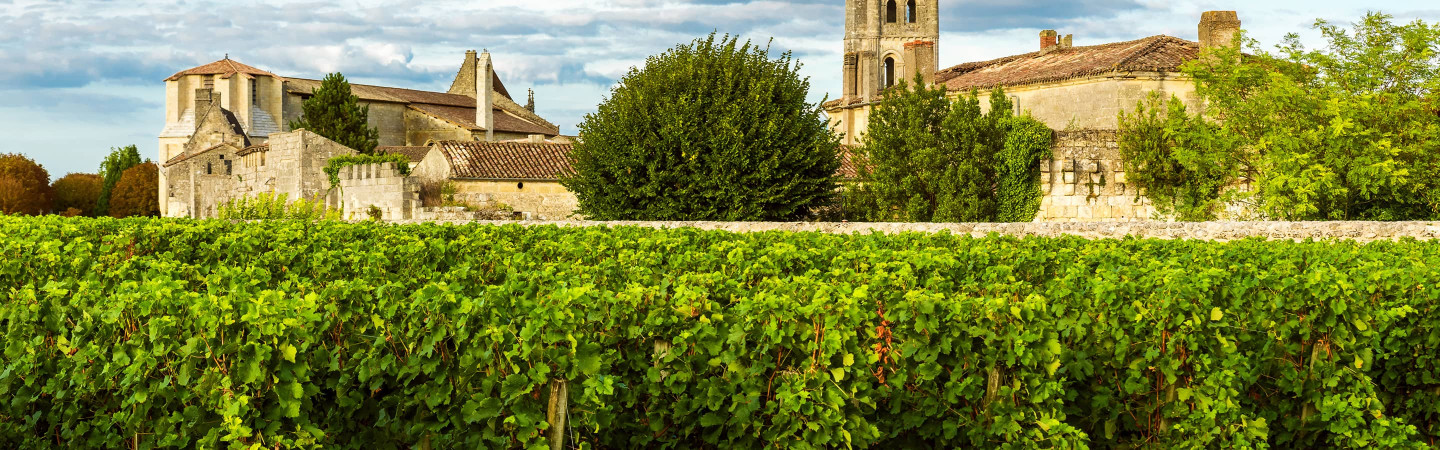 Vente privée : vin