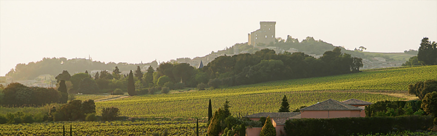 Vente privée : vin