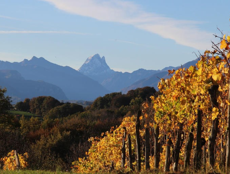 Clos Joliette 2017 : le dernier millésime d’un mythe signé Jean-Marc Grussaute !