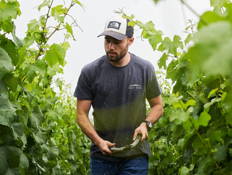 Champagne Girard-Bonnet : une nouvelle étoile brille sur les plus beaux terroirs de la Côte des Blancs